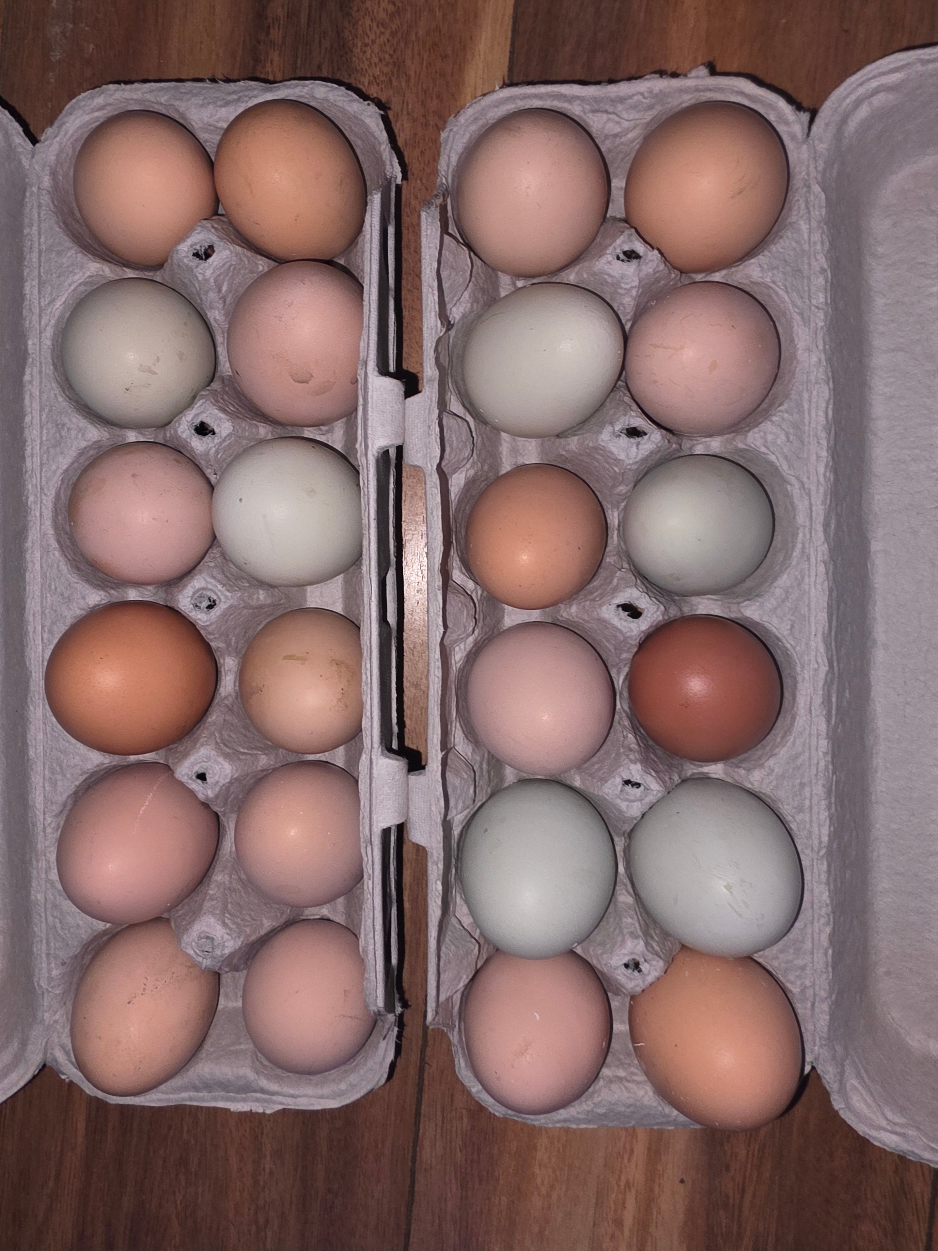 Farm Fresh Eggs
